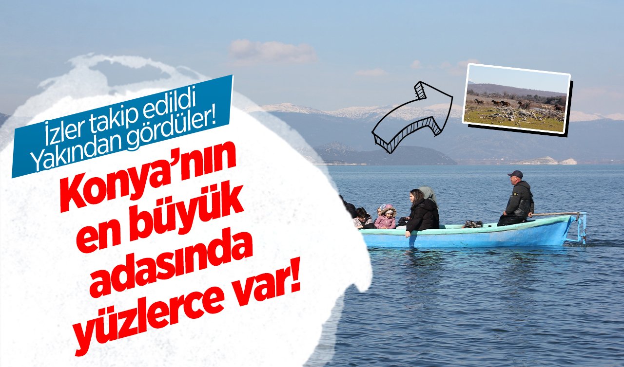 Konya’nın en büyük adasında yüzlerce var! İzler takip edildi: Yakından gördüler! 