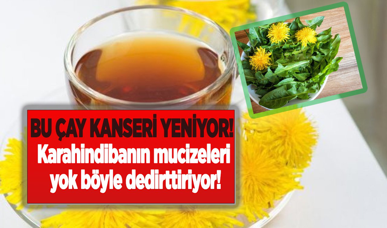 Bu çay kanseri yeniyor! Karahindibanın mucizeleri yok böyle dedirttiriyor!