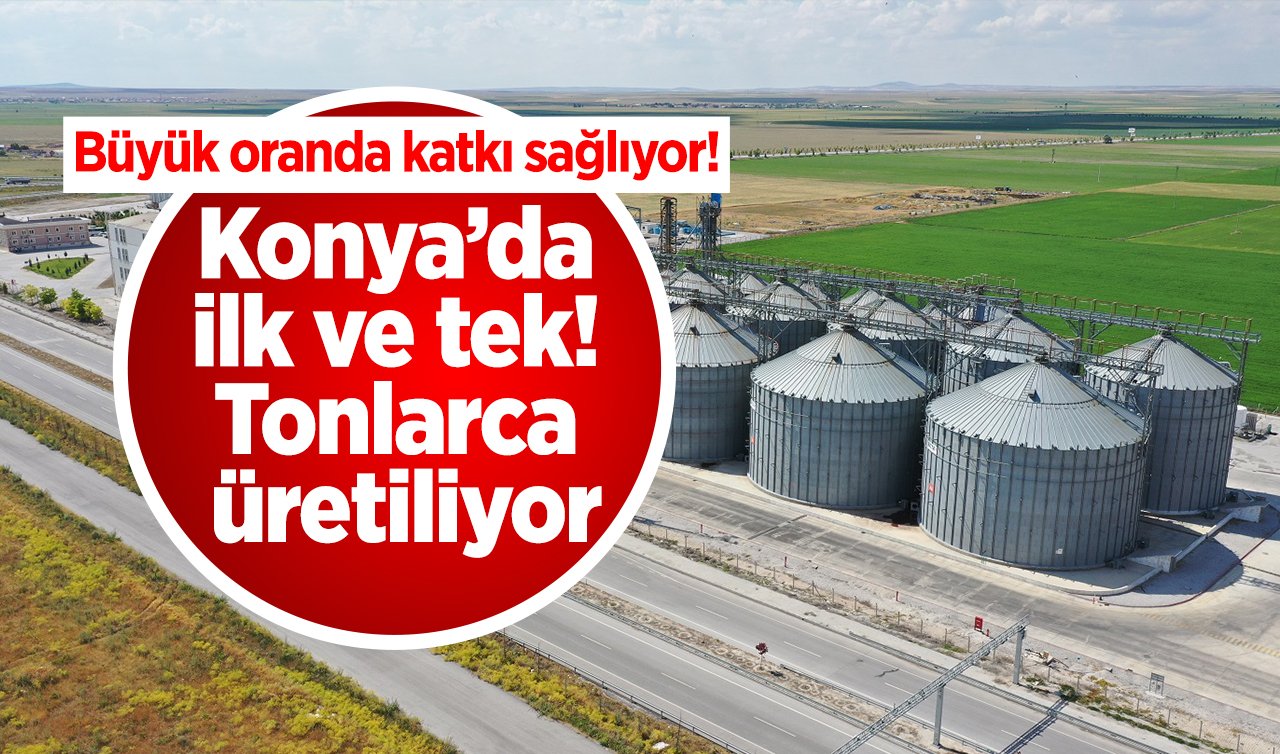 Konya’da ilk ve tek! Tonlarca üretiliyor: Büyük oranda katkı sağlıyor! 
