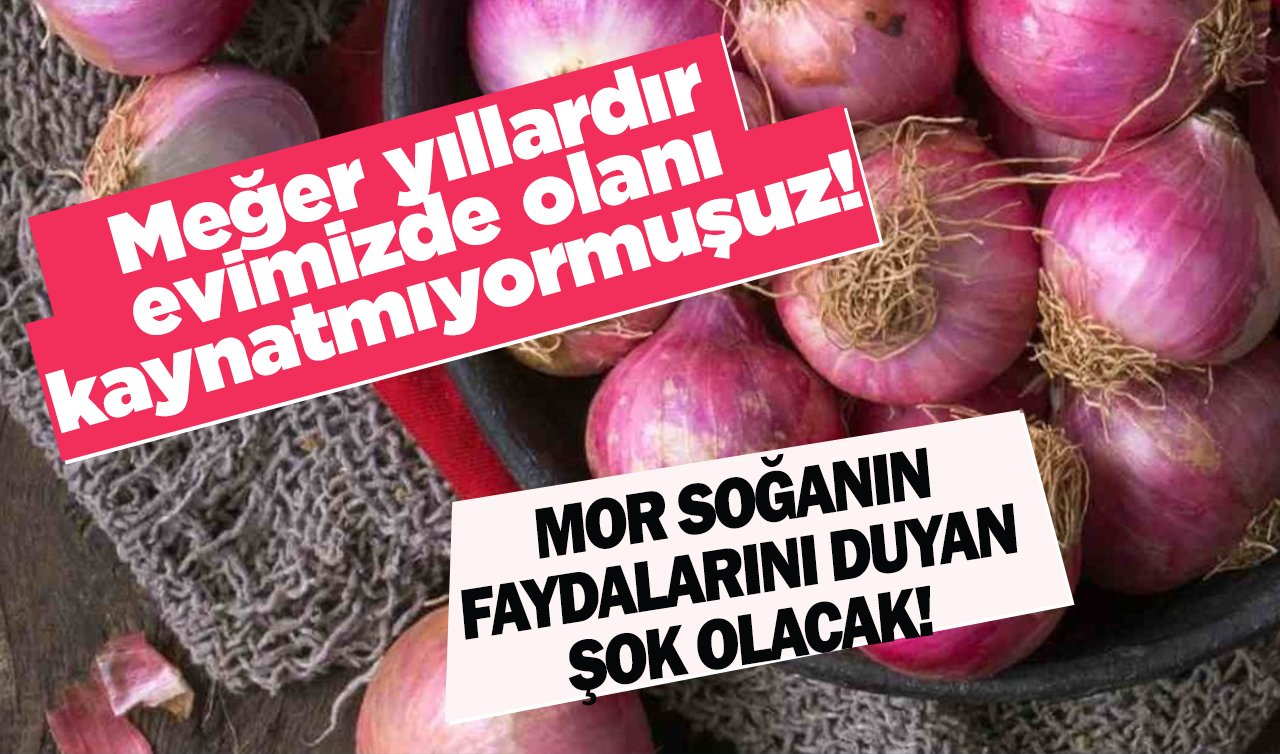 Meğer yıllardır evimizde olanı kaynatmıyormuşuz! MOR SOĞANIN FAYDALARINI DUYAN ŞOK OLACAK!