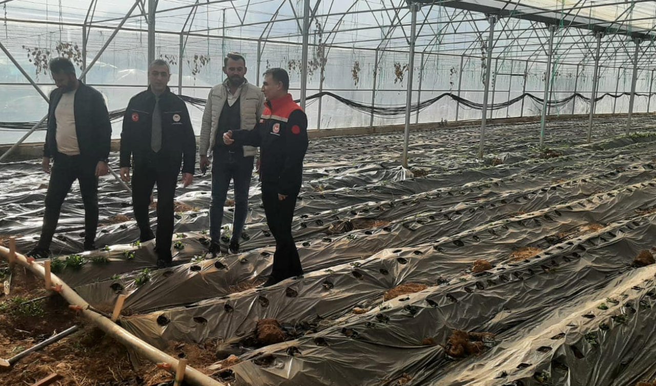  Hüyük’teki çilek seraları incelendi 