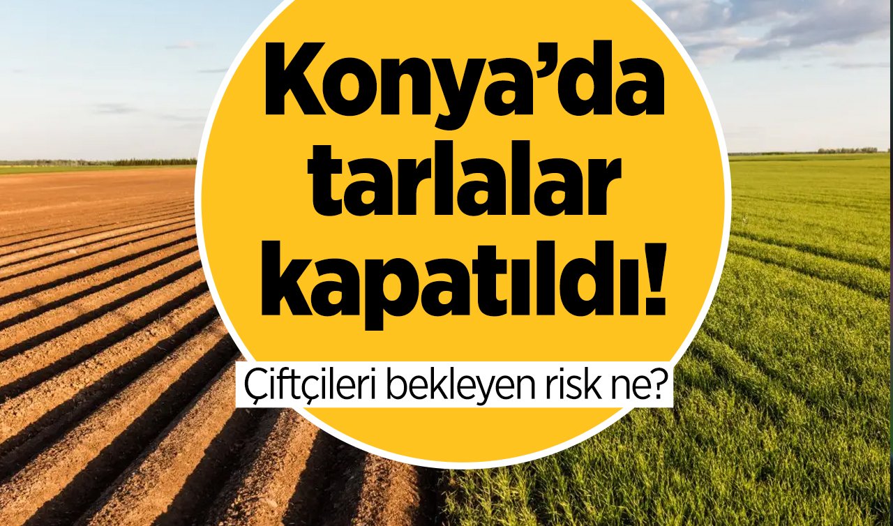 UZMANINDAN AÇIKLAMA GELDİ! Konya’da tarlalar kapatıldı: Çiftçileri bekleyen risk ne?  Son 53 yılın.. 