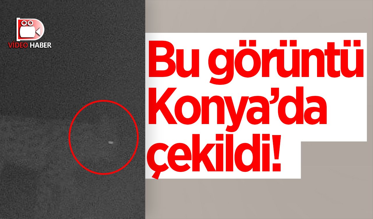 Bu görüntü Konya’da çekildi! Nesli tükenmekte olan vaşak fotokapana takıldı