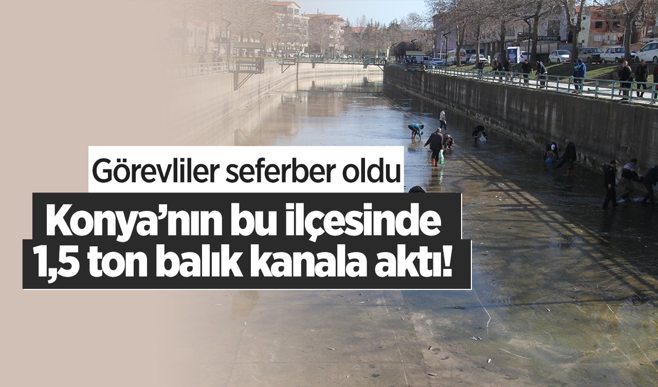 Konya’nın bu ilçesinde 1,5 ton balık kanala aktı! Görevliler seferber oldu