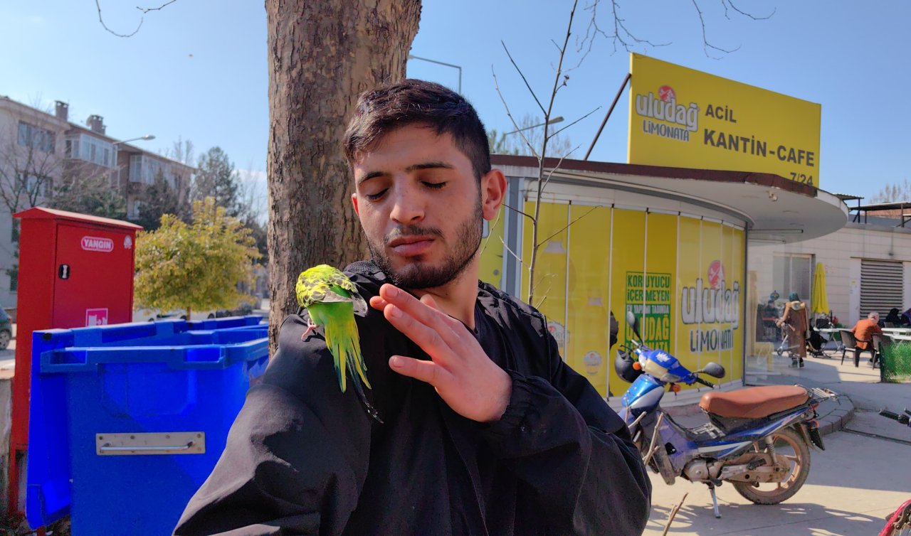 Çalıştığı kantinde muhabbet kuşuyla servis yapıyor