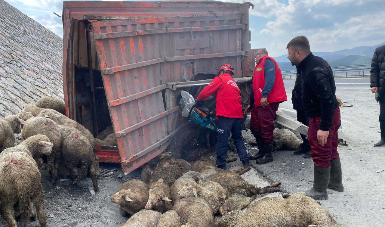 TIR kamyona arkadan çarptı!  1 kişi hayatını kaybetti 2 kişi yaralandı 52 koyun öldü
