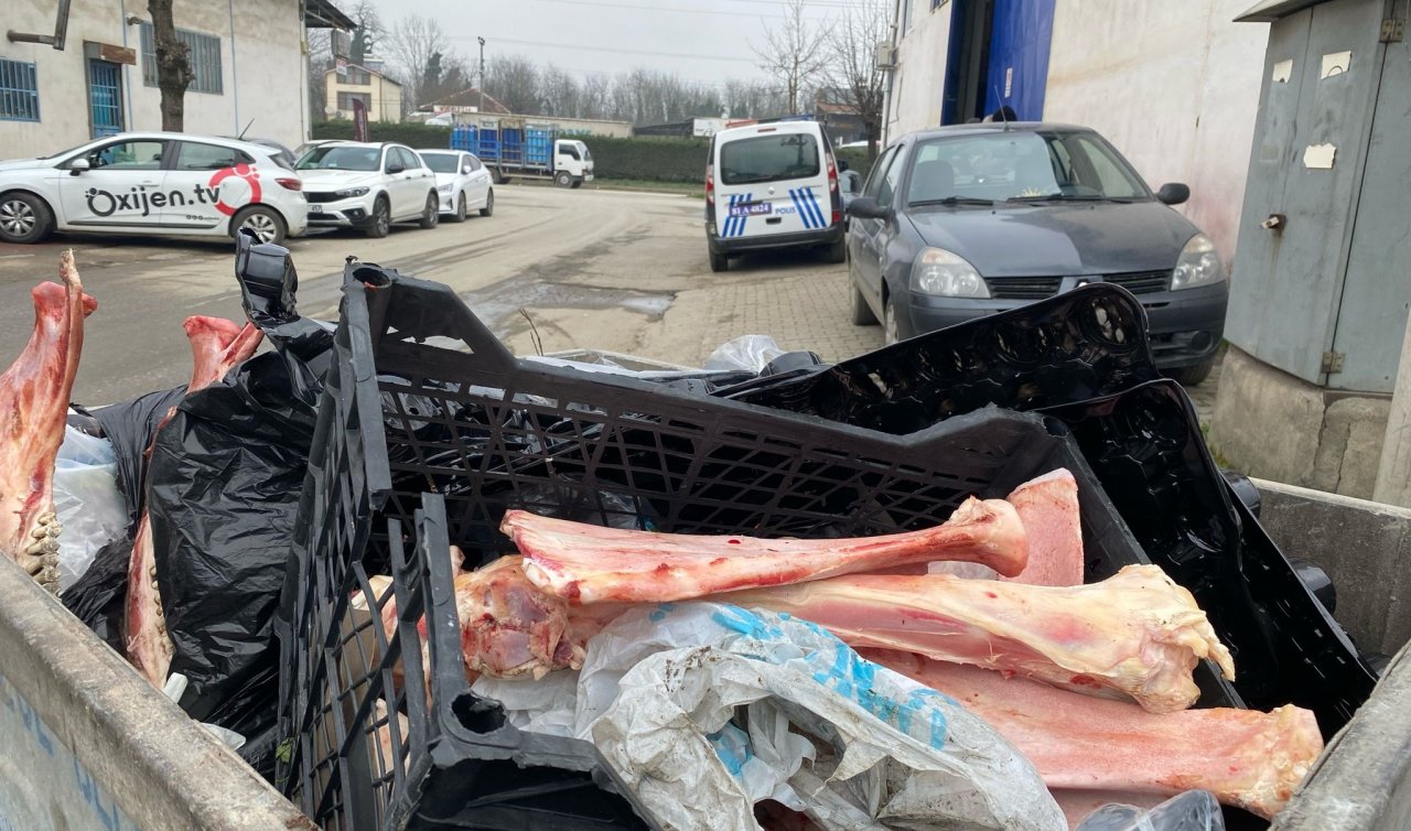 Çöp konteynerinde eti sıyrılmış at kemikleri bulundu 