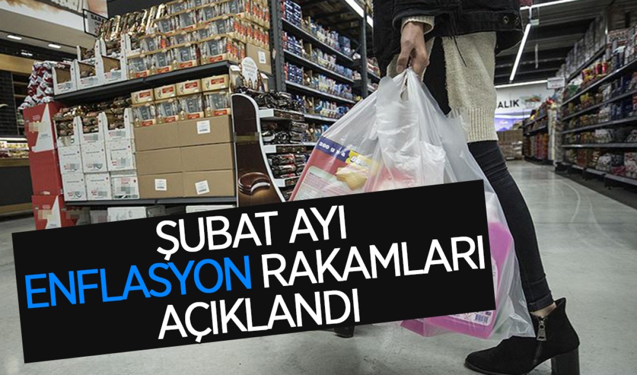 Şubat ayı enflasyon rakamları açıklandı