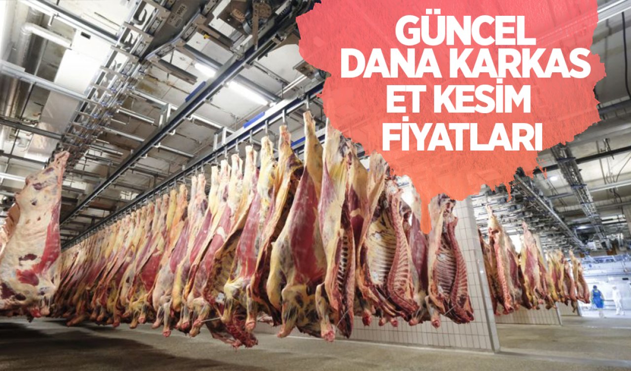 Güncel dana karkas et kesim fiyatları! Bölgelere göre dana karkas et kesim fiyatları kaç TL?