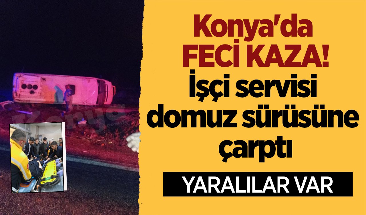 Konya’da feci kaza! İşçi servisi domuz sürüsüne çarptı: YARALILAR VAR