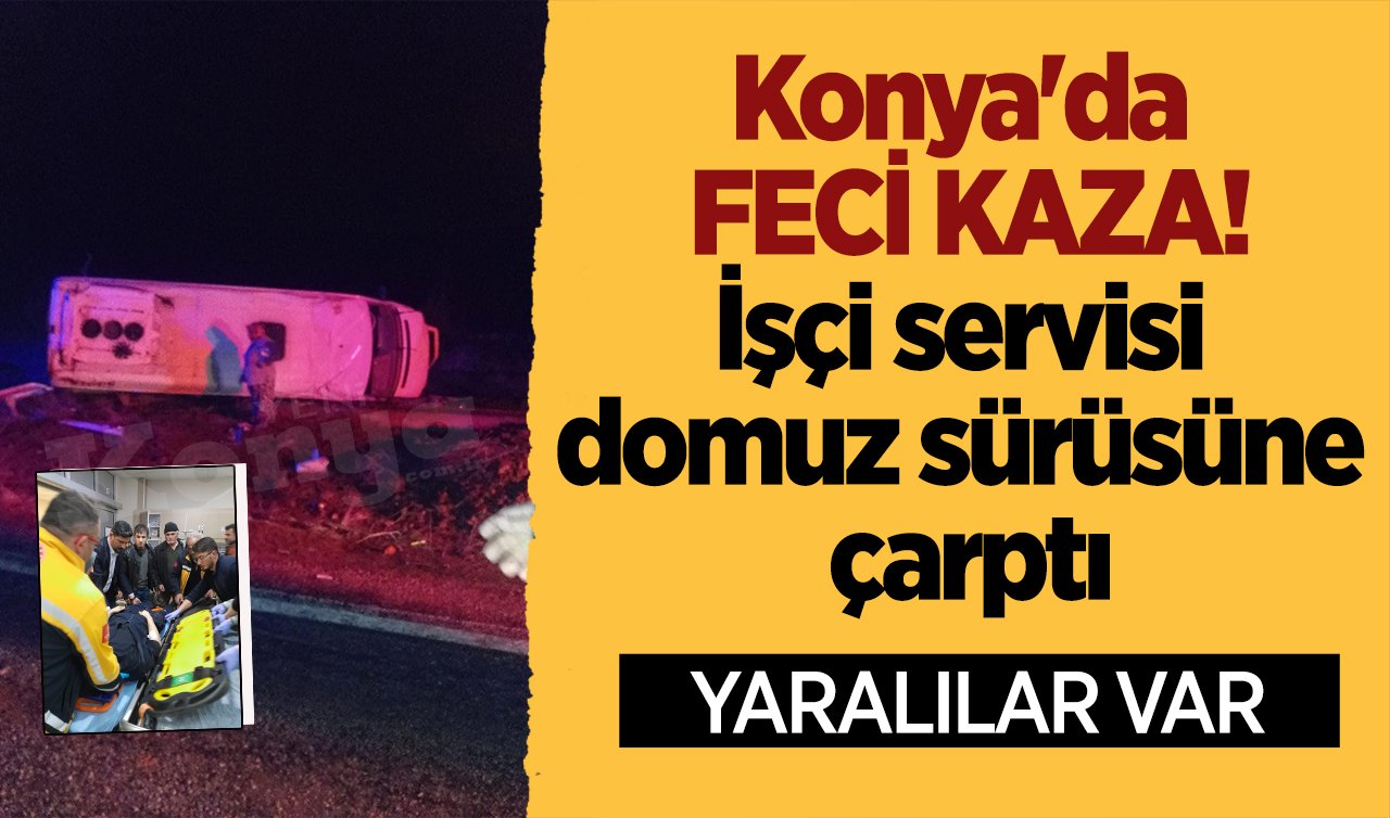 Konya’da feci kaza! İşçi servisi domuz sürüsüne çarptı: YARALILAR VAR