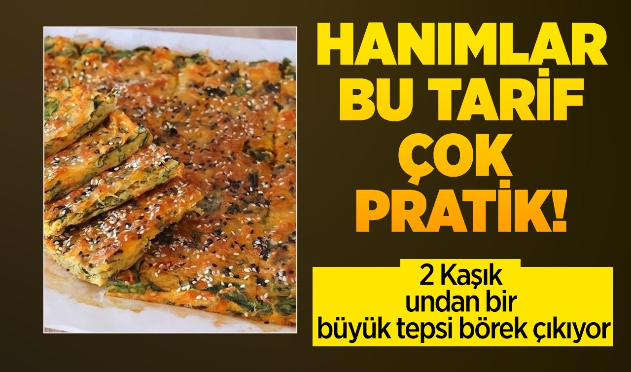 HANIMLAR BU TARİF ÇOK PRATİK! 2 Kaşık undan bir büyük tepsi börek çıkıyor