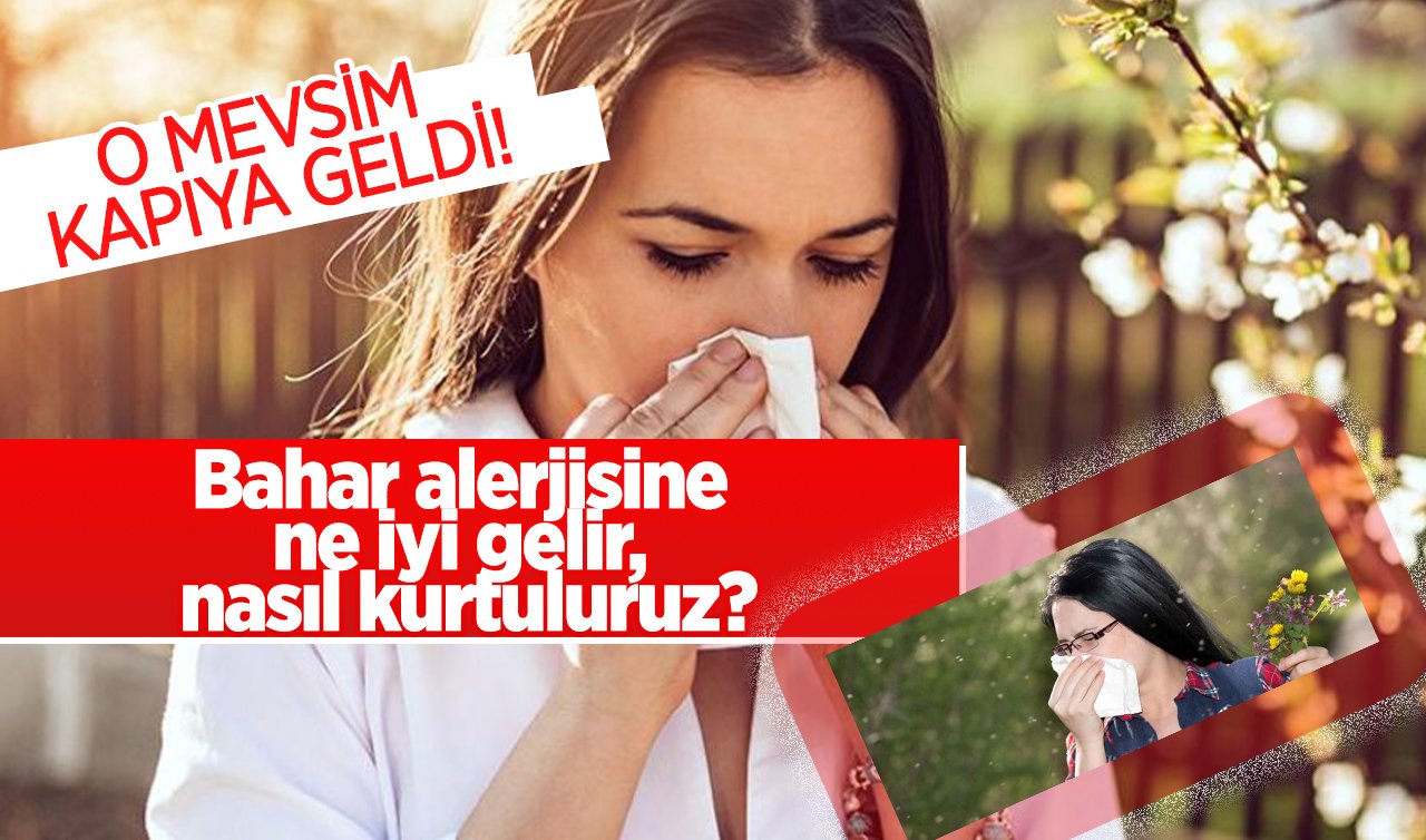 O mevsim kapıya geldi! Bahar alerjisine ne iyi gelir, Bahar alerjisinden nasıl kurtuluruz?
