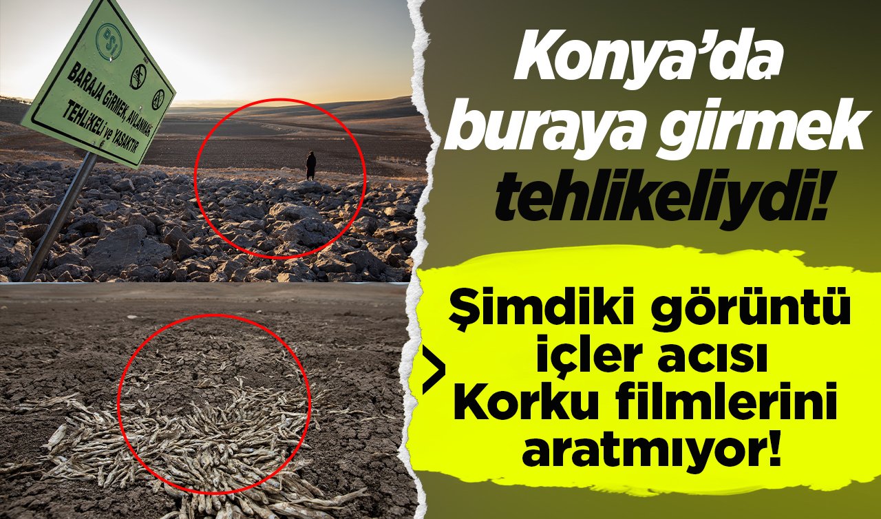 Konya’da buraya girmek tehlikeliydi! Şimdiki görüntü içler acısı: Korku filmlerini aratmıyor!