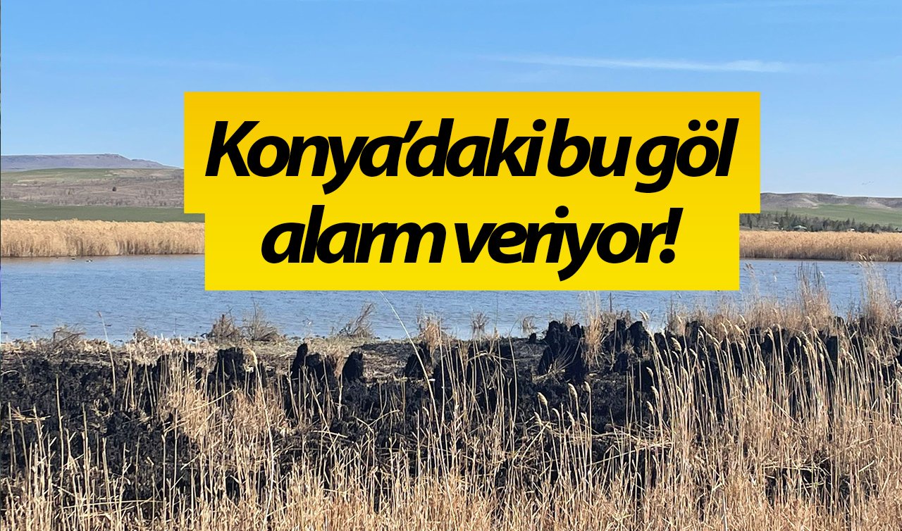 Konya May tamamen kurudu! Bir göl daha alarm veriyor! 