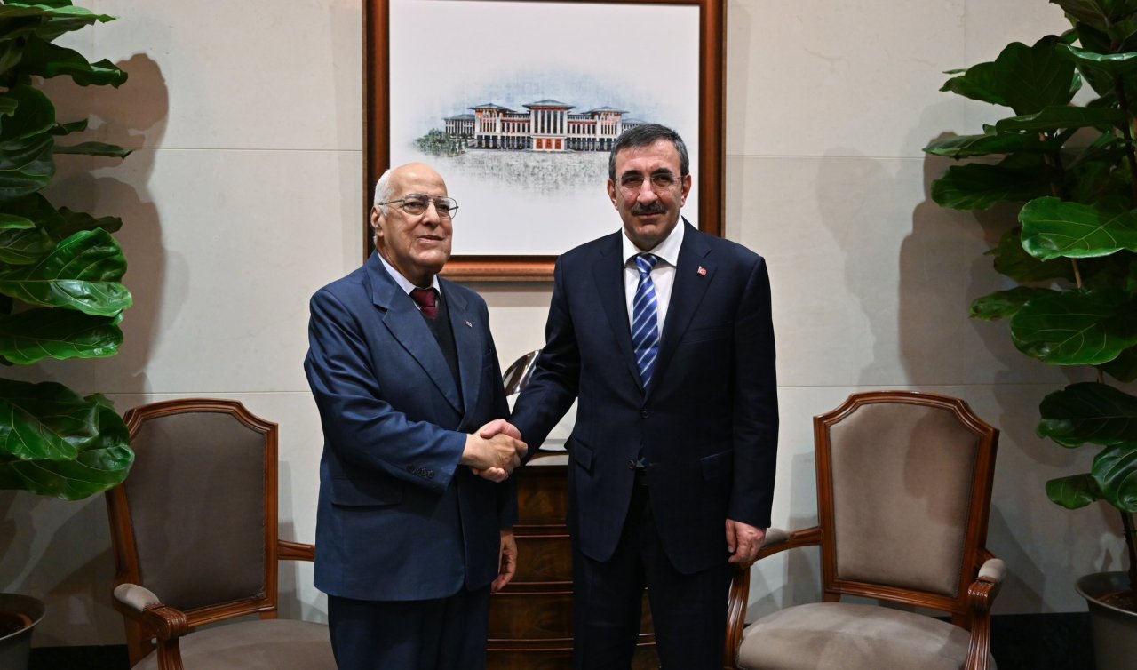 Cumhurbaşkanı Yardımcısı Yılmaz Küba Başbakan Yardımcısı Ruis ile görüştü