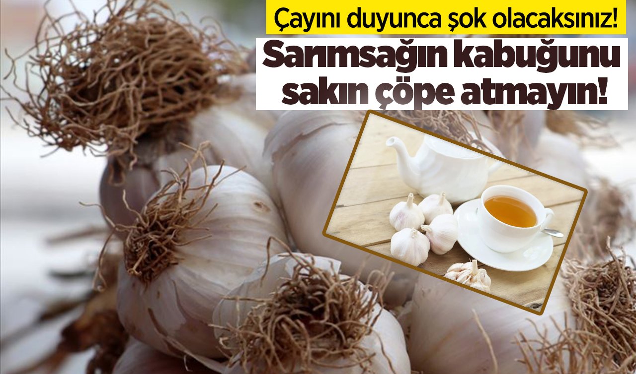 Çayını duyunca şok olacaksınız! Sarımsağın kabuğunu sakın çöpe atmayın!