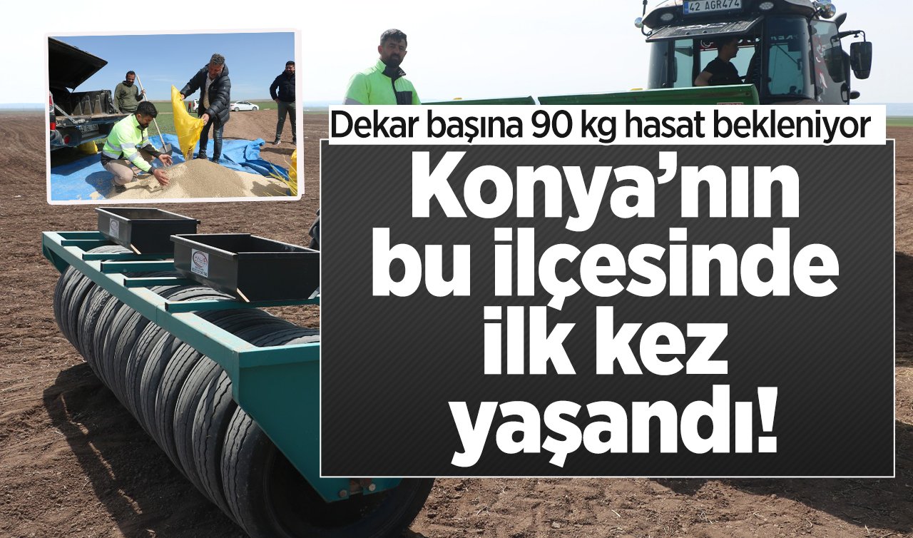 Konya’nın bu ilçesinde ilk kez yaşandı! Dekar başına 90 kg hasat bekleniyor 