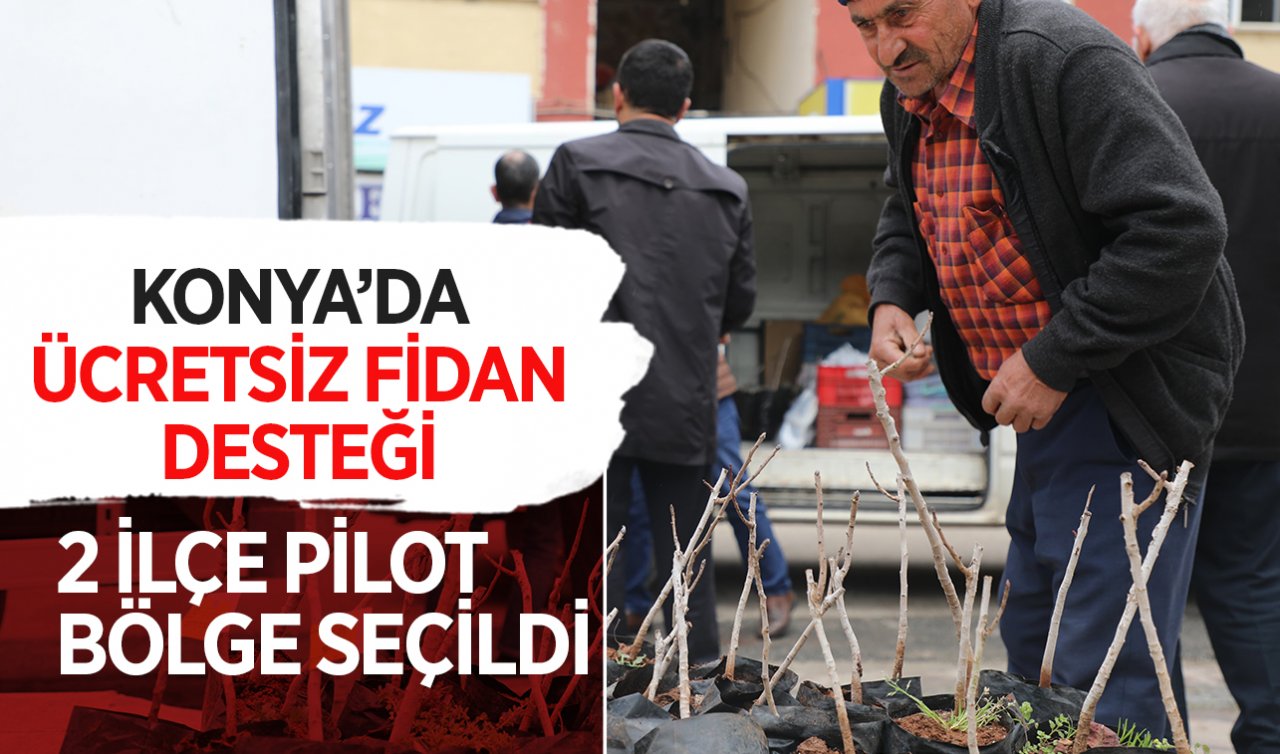  Konya’da ücretsiz fidan desteği! 2 ilçe pilot bölge seçildi