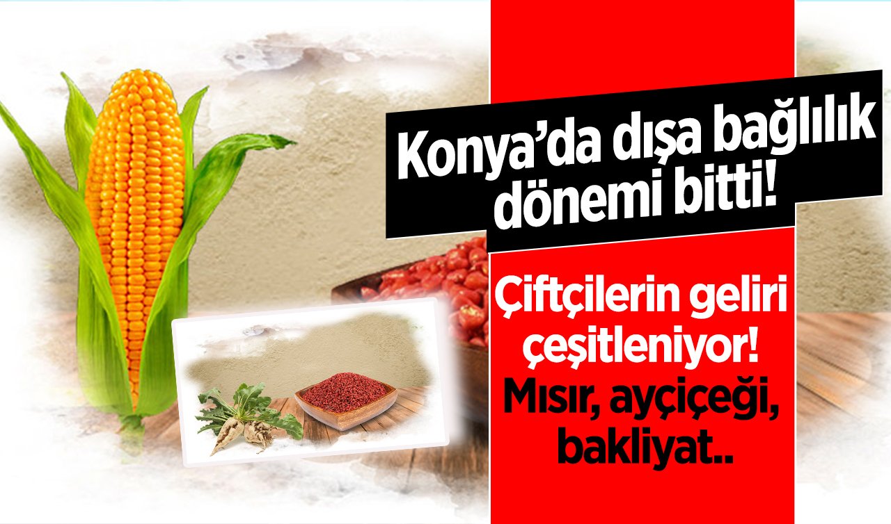Konya’da dışa bağlılık dönemi bitti! Çiftçilerin geliri çeşitleniyor! Mısır, ayçiçeği, bakliyat..