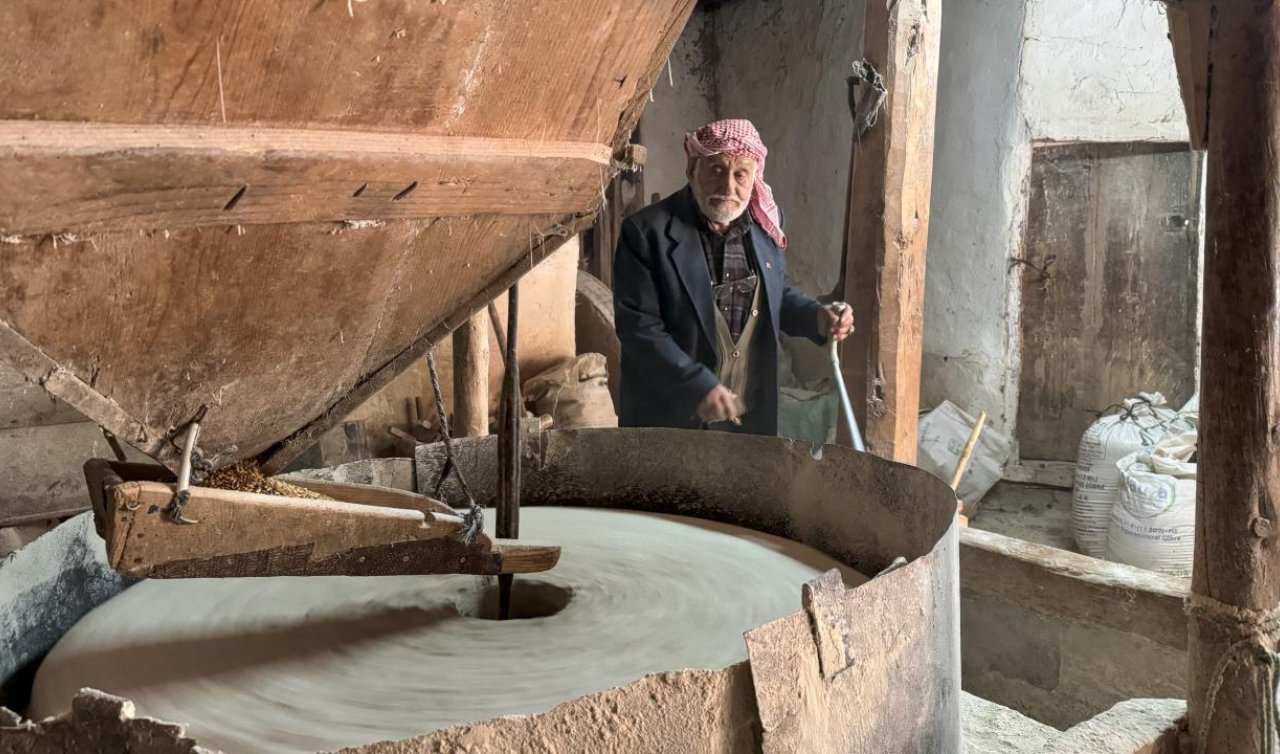 84 yaşında Şevket dede yıllardır su değirmeninde buğday öğütüyor