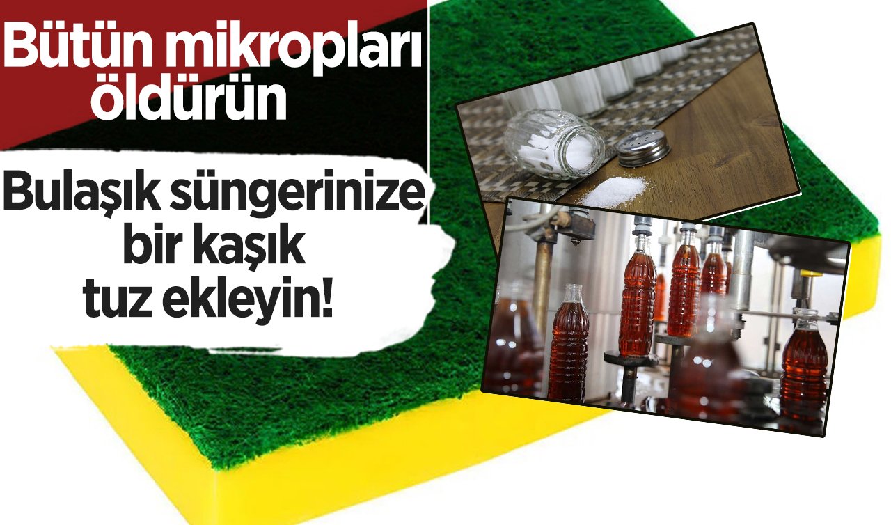 Bulaşık süngerinize bir kaşık tuz ekleyin! Bütün mikropları öldürün