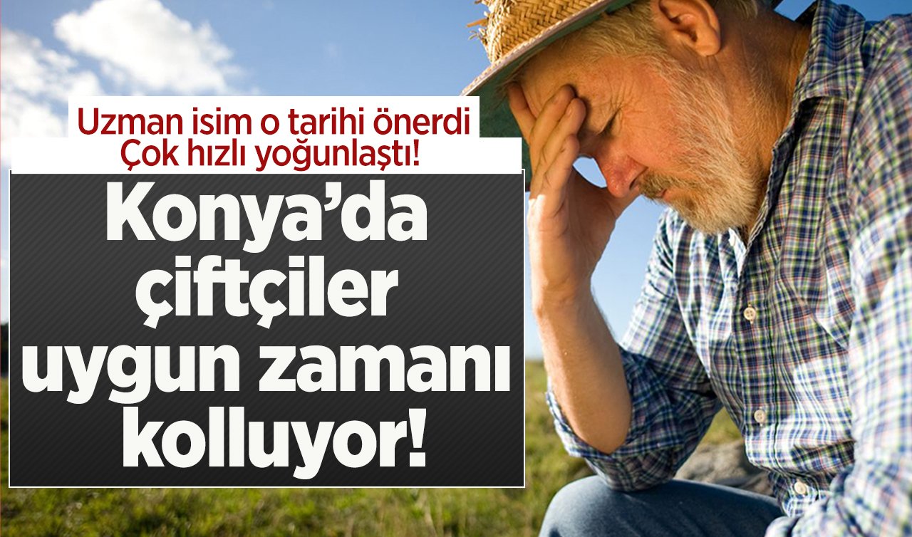 Konya’da çiftçiler uygun zamanı kolluyor! Uzman isim o tarihi önerdi: Çok hızlı yoğunlaştı!