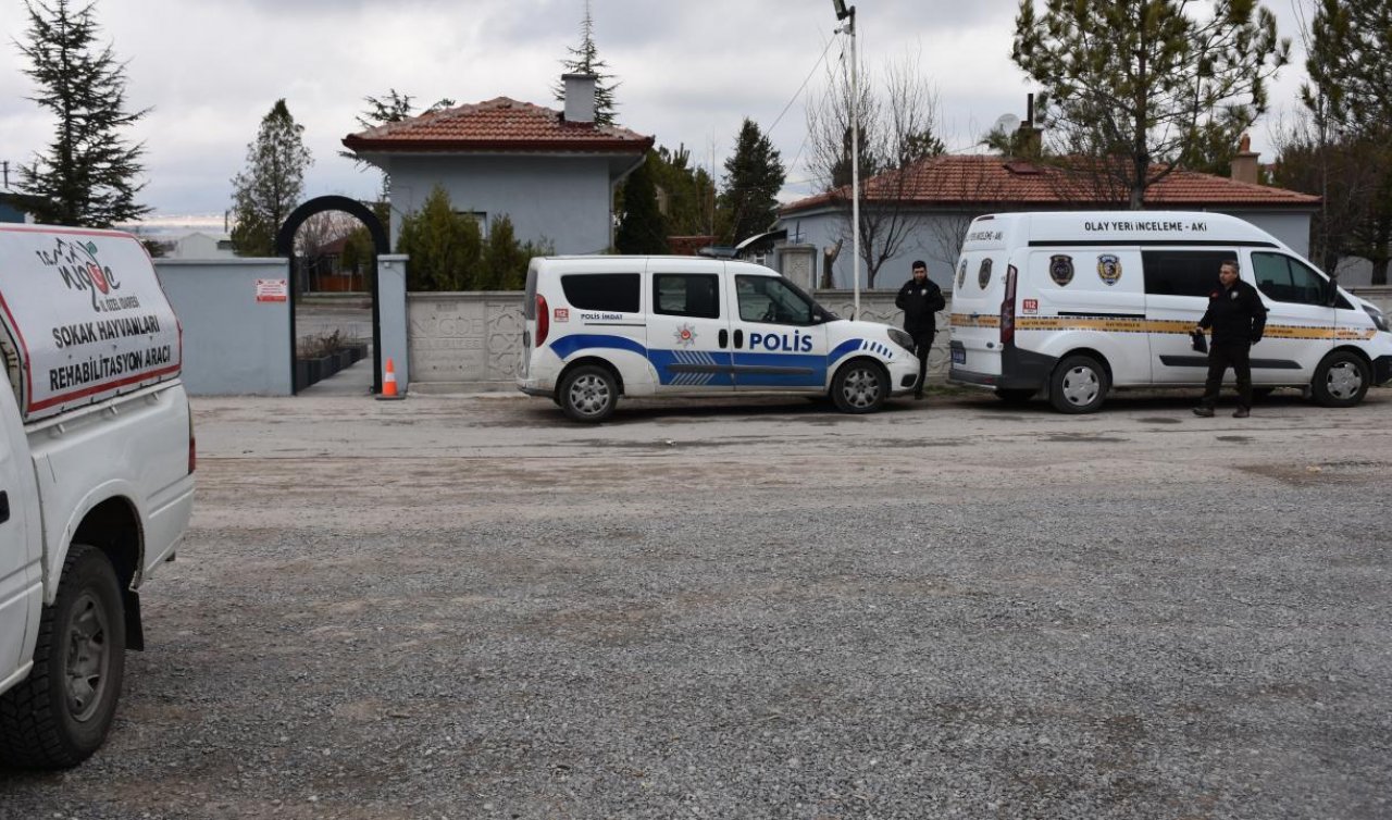 Köpek dövüşünde ele geçirilen 2 köpek barınaktan çalındı