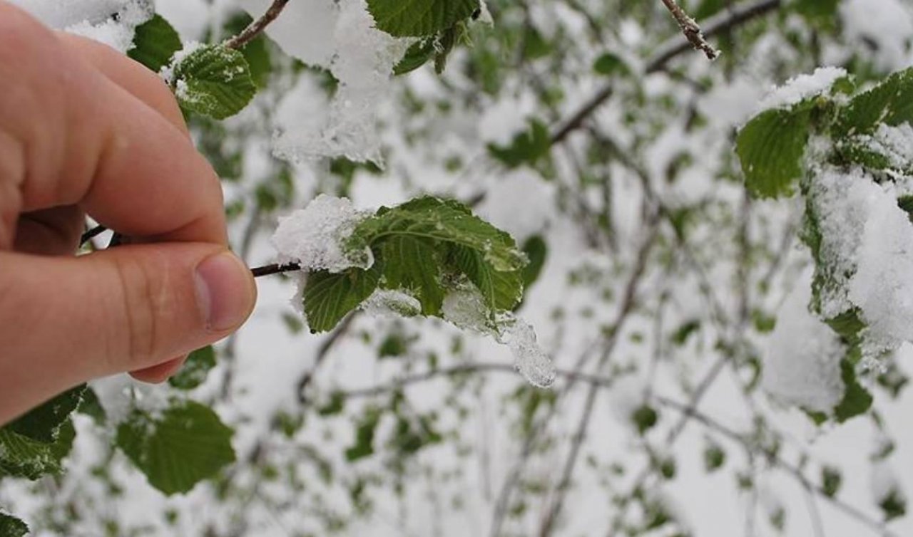  Meteoroloji zirai don uyarısı yaptı