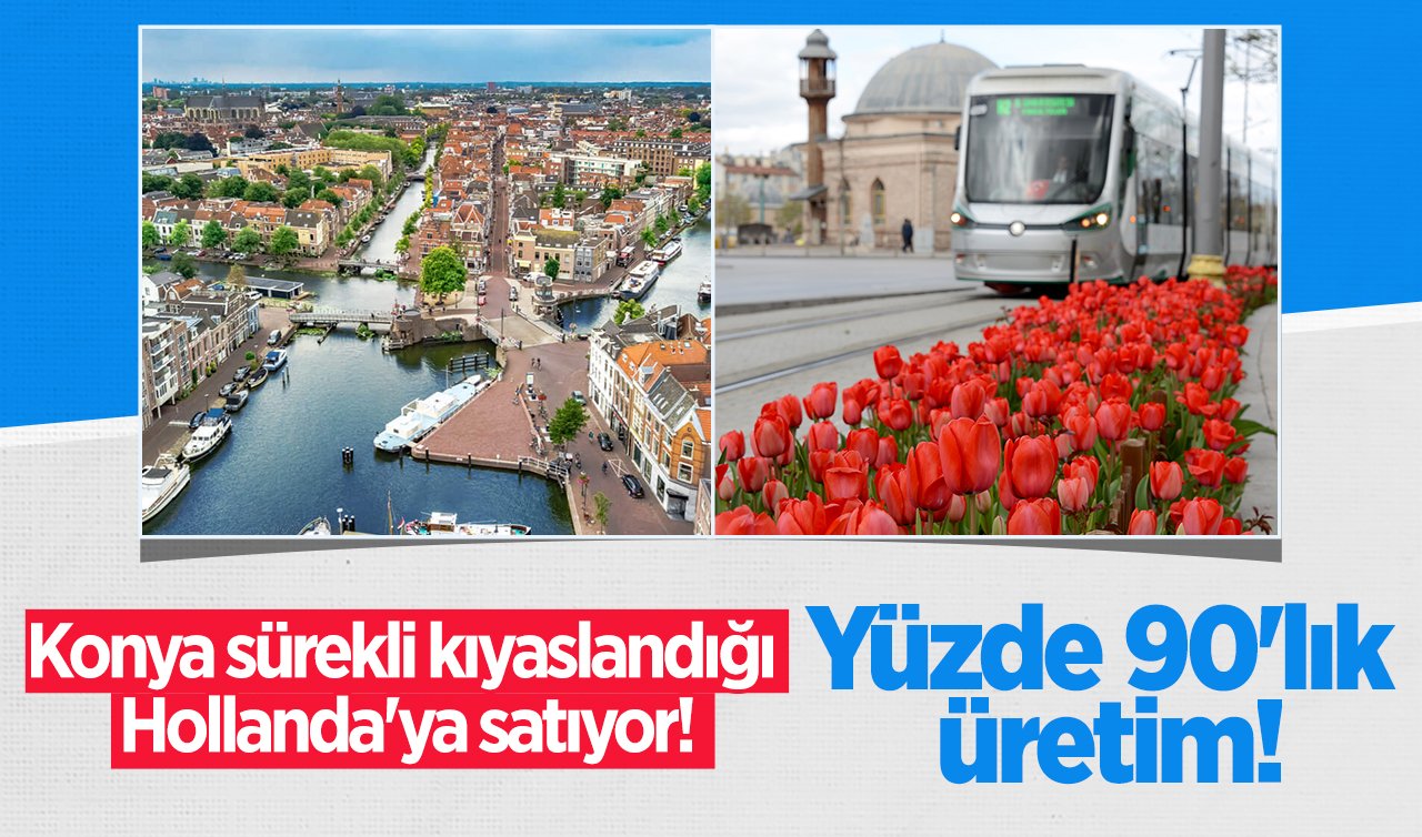 Konya sürekli kıyaslandığı Hollanda’ya satıyor! Yüzde 90’lık üretim