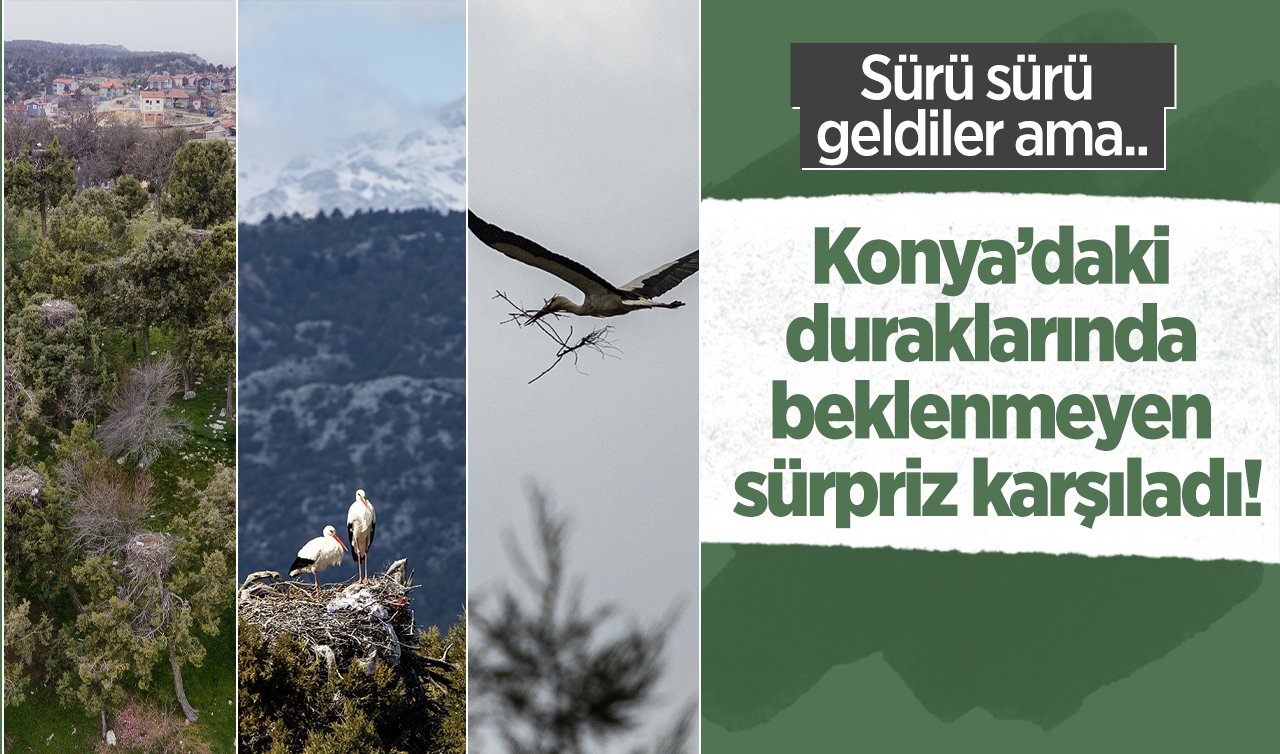 Sürü sürü geldiler ama.. Konya’daki duraklarında beklenmeyen sürpriz karşıladı!