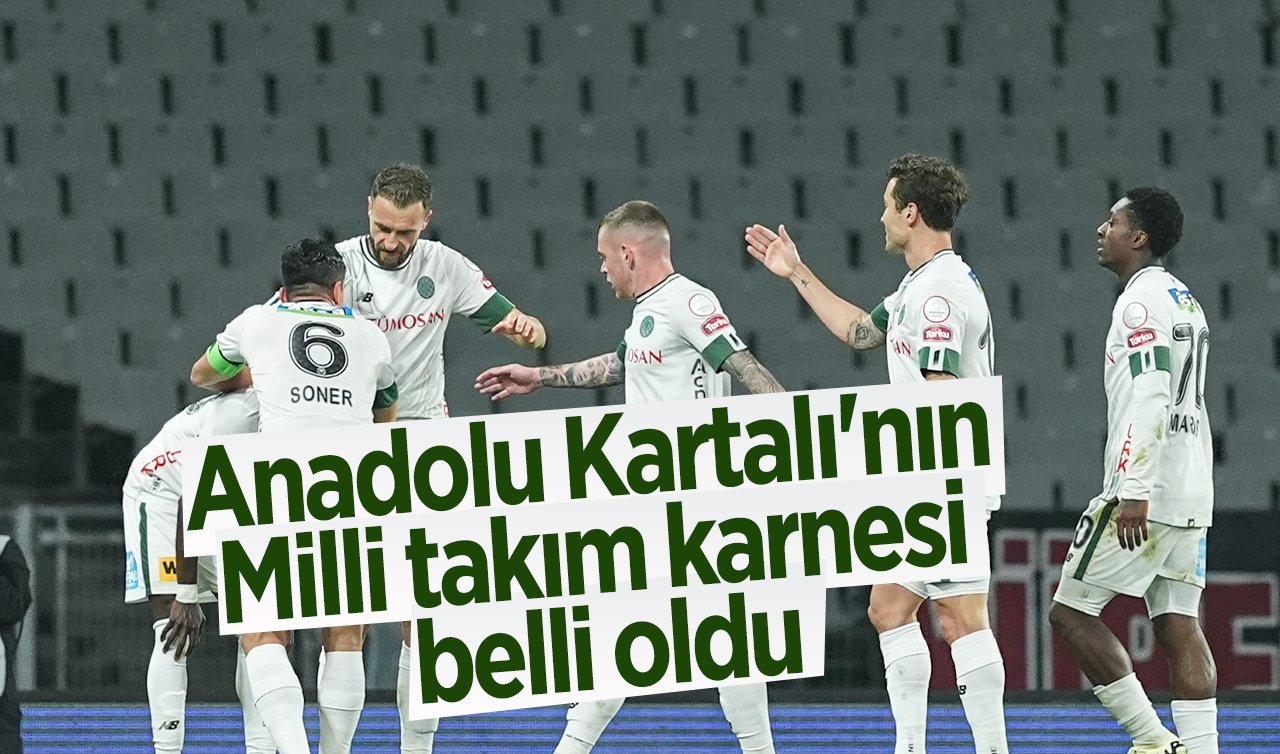  Anadolu Kartalı’nın Milli takım karnesi belli oldu