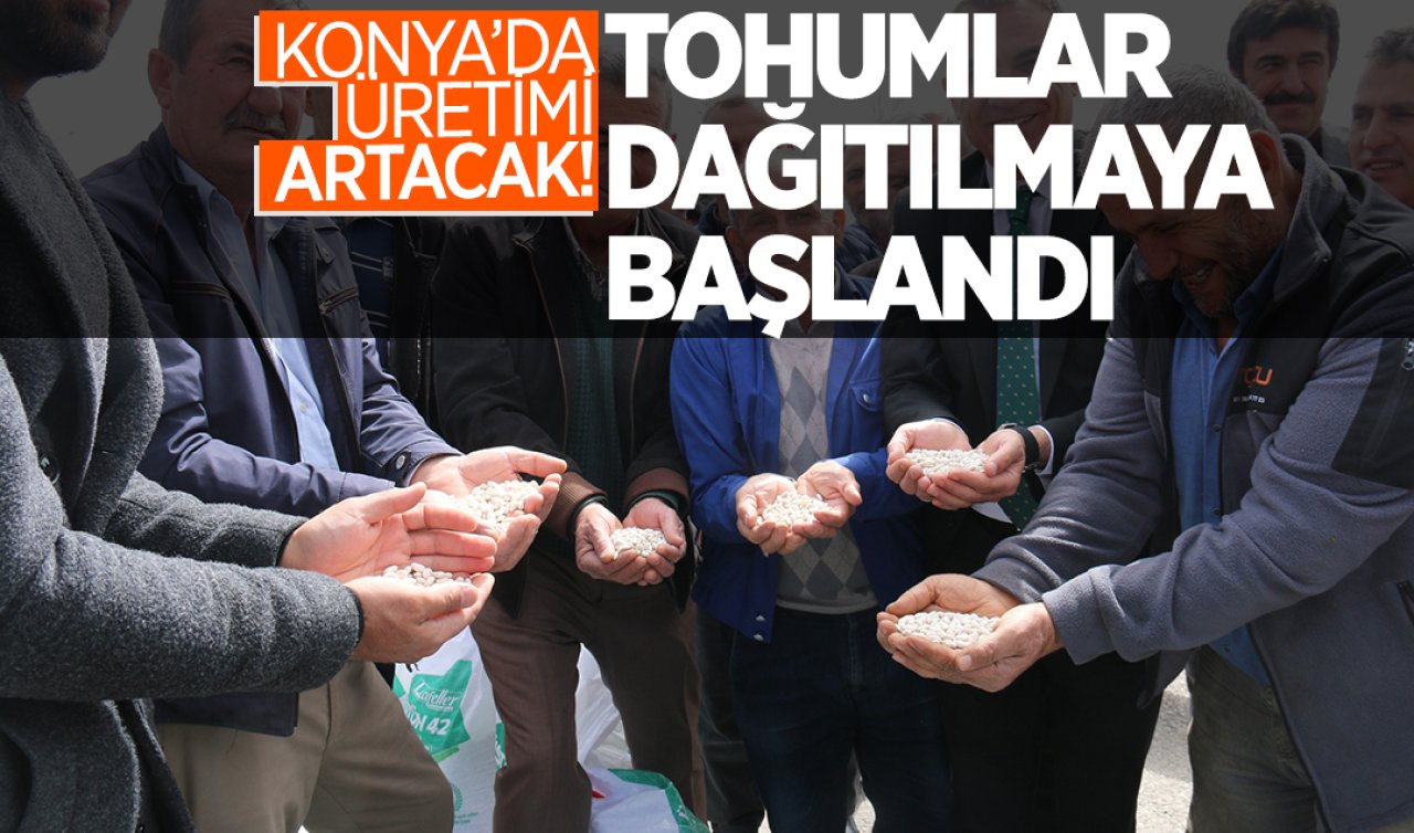 Konya’da üretim alanının artması hedefleniyor! 10 ilçede 5 bin dekar alanda tohum  toprakla buluşacak