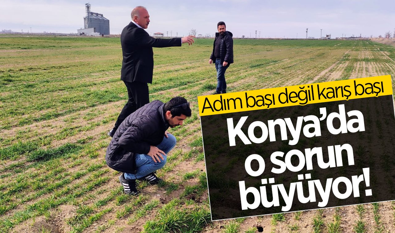  Konya’da o sorun büyüyor! Adım başı değil karış başı delik var