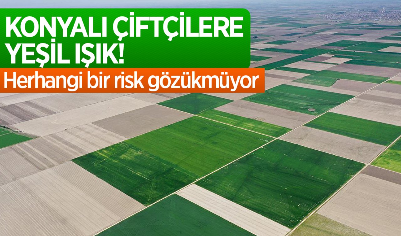 Konyalı çiftçilere yeşil ışık! Herhangi bir risk gözükmüyor
