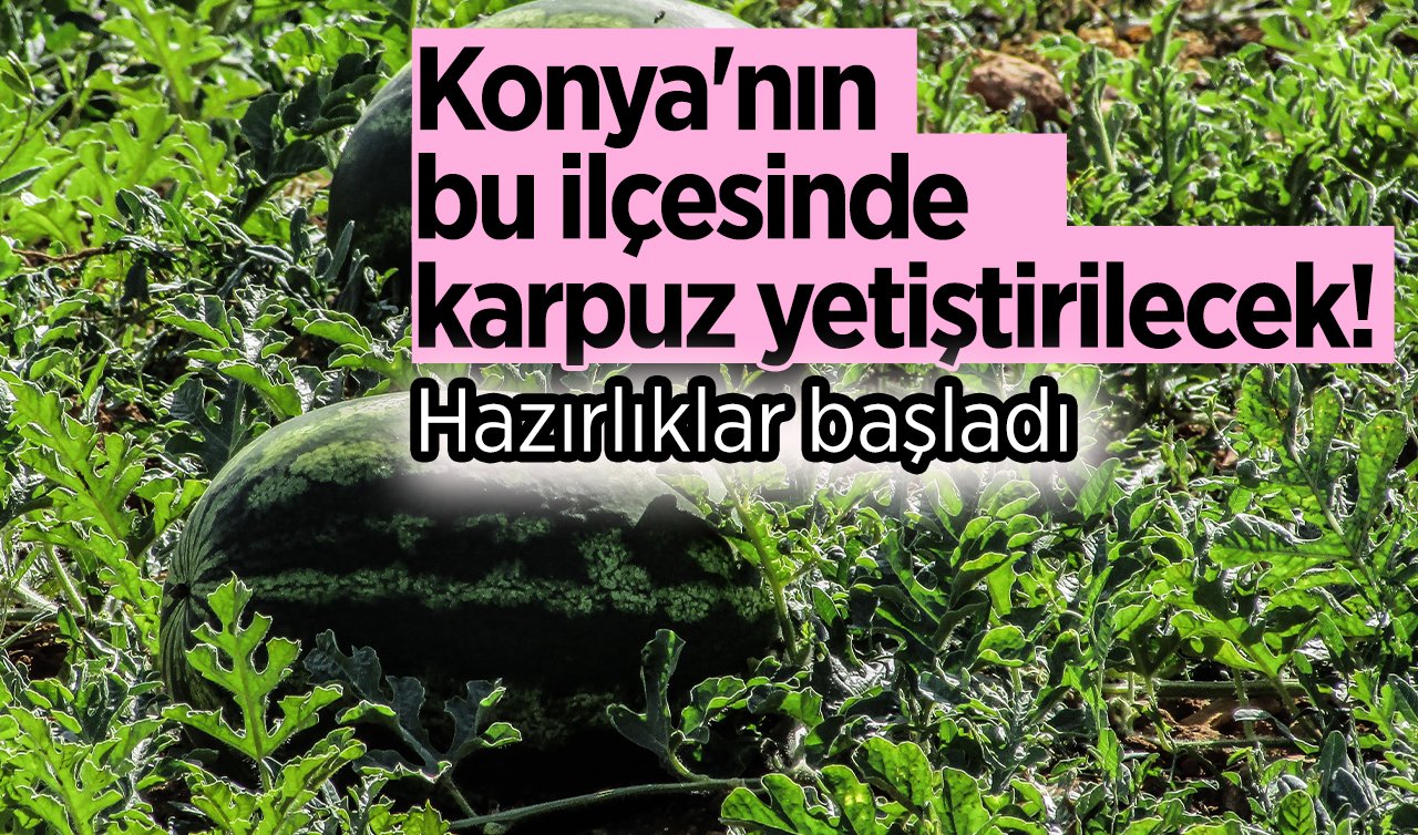 Konya’nın bu ilçesinde karpuz üretilecek! 