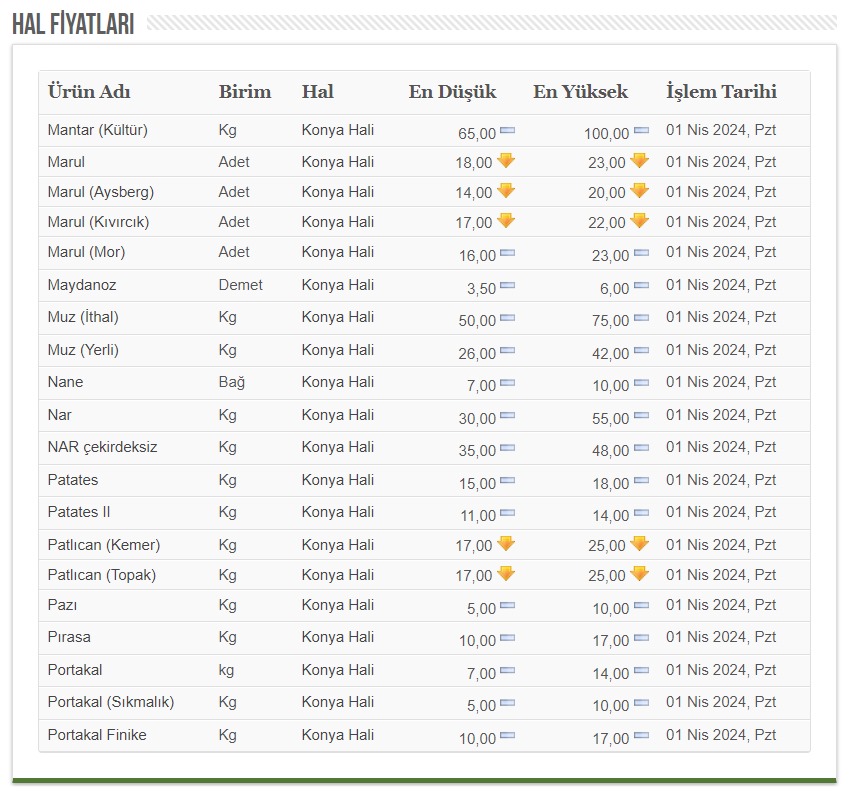 KONYA GÜNCEL HAL FİYATLARI