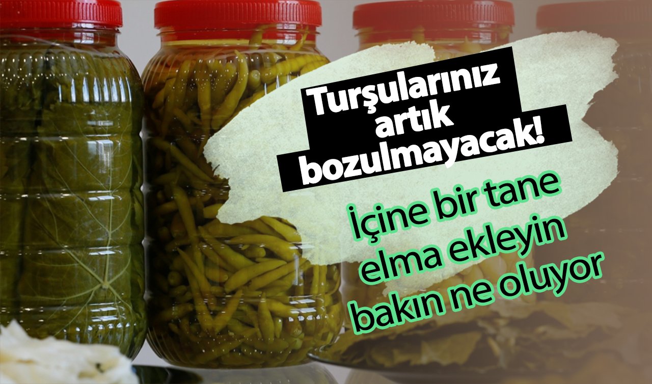  Turşularınız artık bozulmayacak! İçine bir tane elma ekleyin bakın ne oluyor