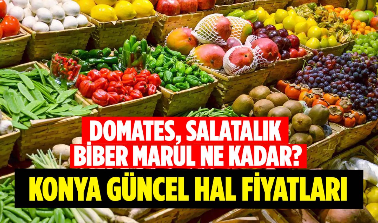  Konya halinde domates, salatalık, biber, marul ne kadar? İşte Konya güncel hal fiyatları!