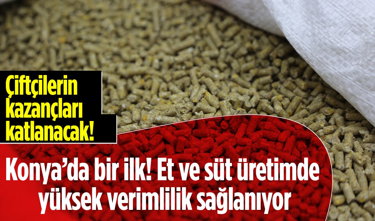 Konya’da bir ilk! Et ve süt üretimde yüksek verimlilik sağlanıyor: Çiftçilerin kazançları katlanacak! 