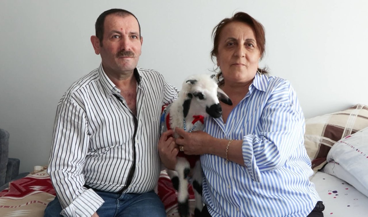 Kanser hastası olunca moral için aldığı kuzuya bebek gibi bakıyor