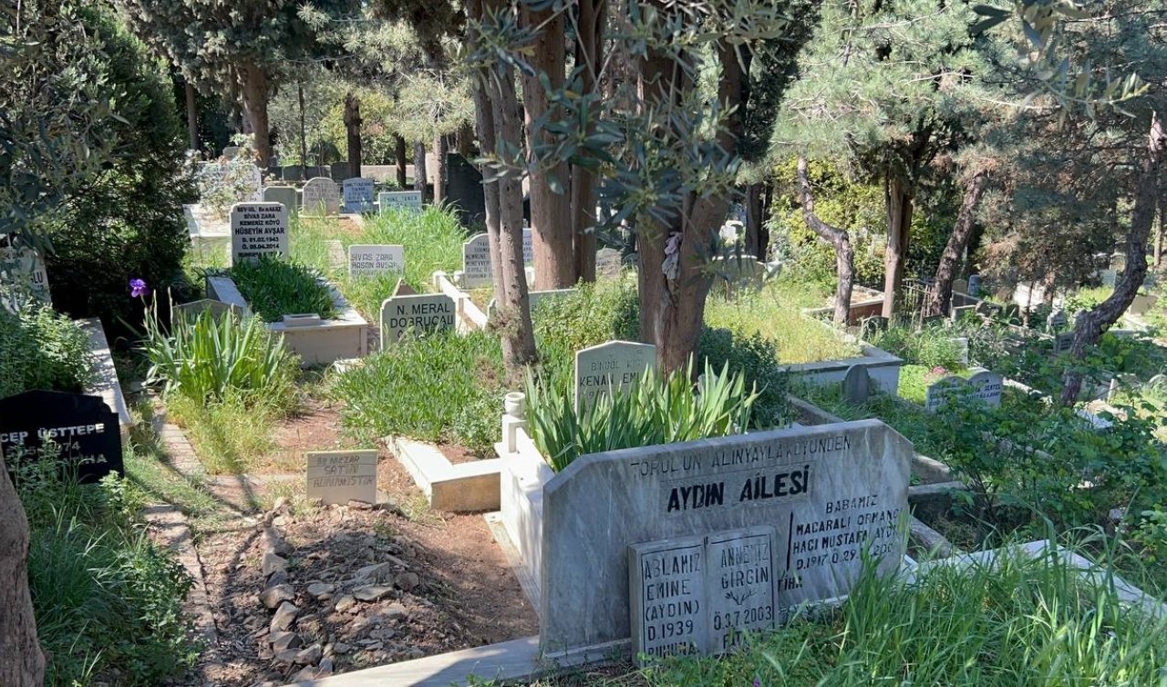 Eski boksör arkadaşını döverek öldürdü! Mezarlığa bırakıp kaçtı
