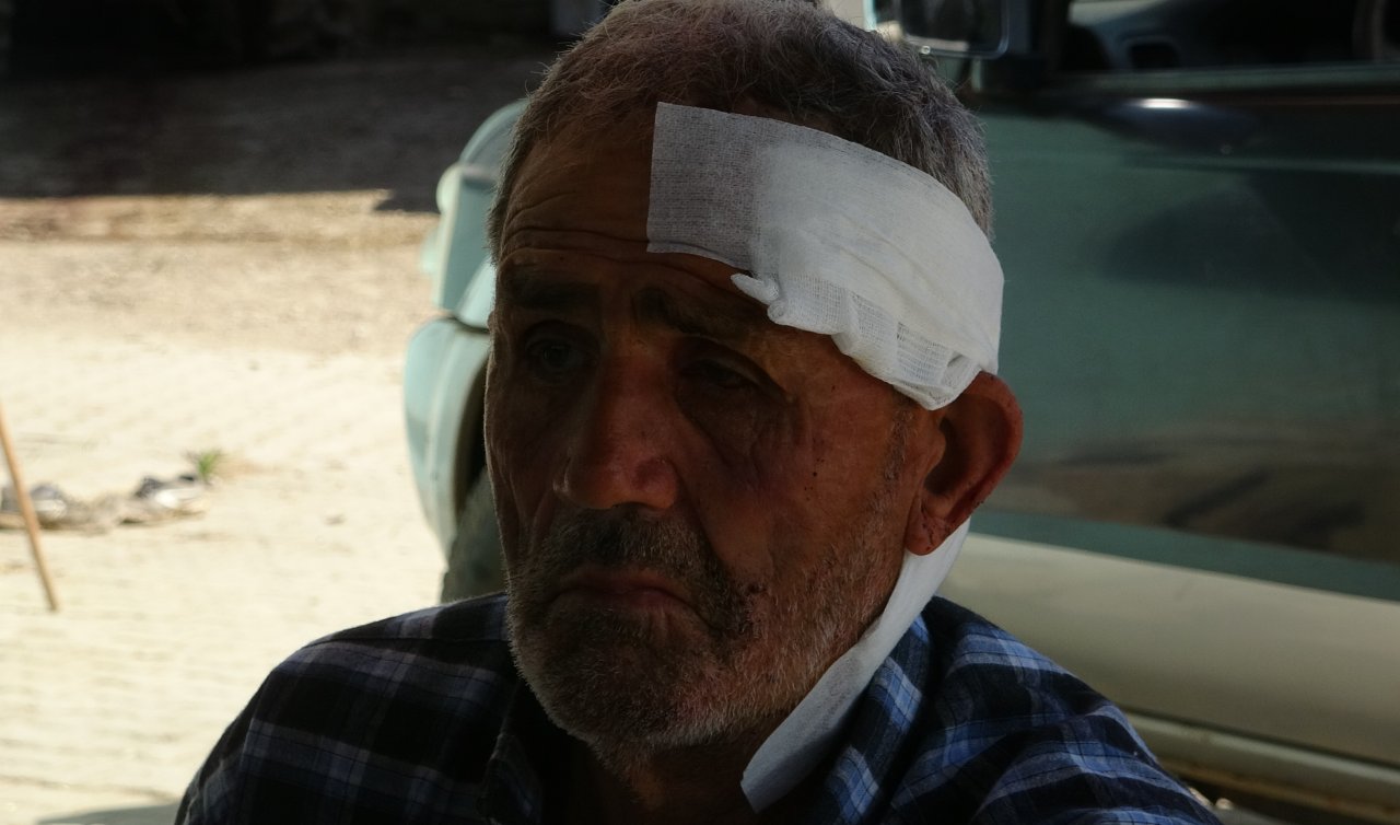 72 yaşındaki çoban, başıboş köpek saldırısında yaralandı