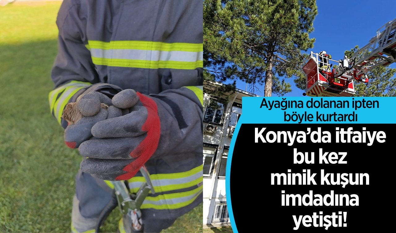 Konya’da itfaiye bu kez minik kuşun imdadına yetişti! Ayağına dolanan ipten böyle kurtardı
