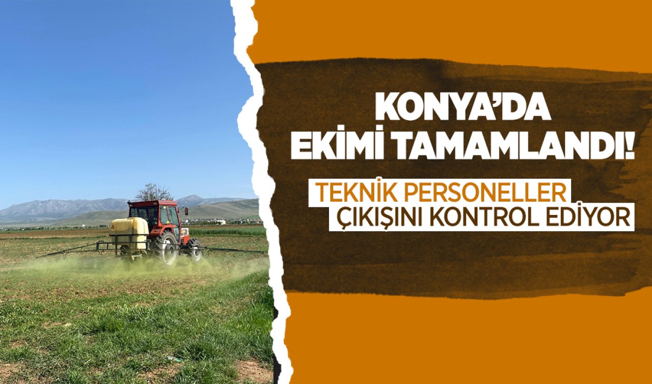 Konya’da ekimi tamamlandı! Teknik personeller çıkışını kontrol ediyor