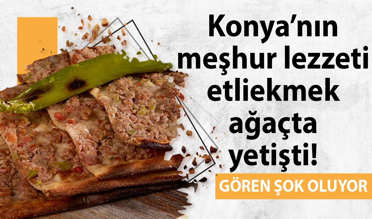 YOK ARTIK! Konya’nın meşhur lezzeti etliekmek ağaçta yetişti! Gören şok oluyor