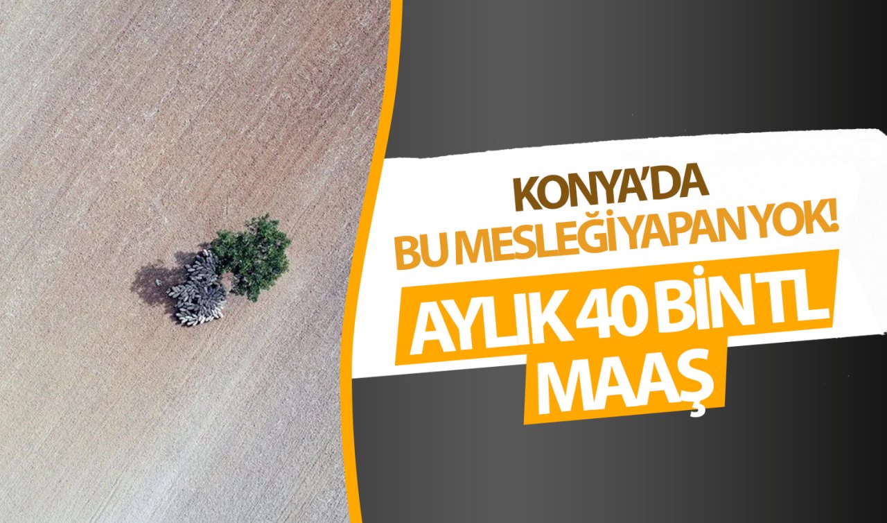  Konya’da bu işi yapan yok! Aylık 40 bin TL maaş veriyorlar