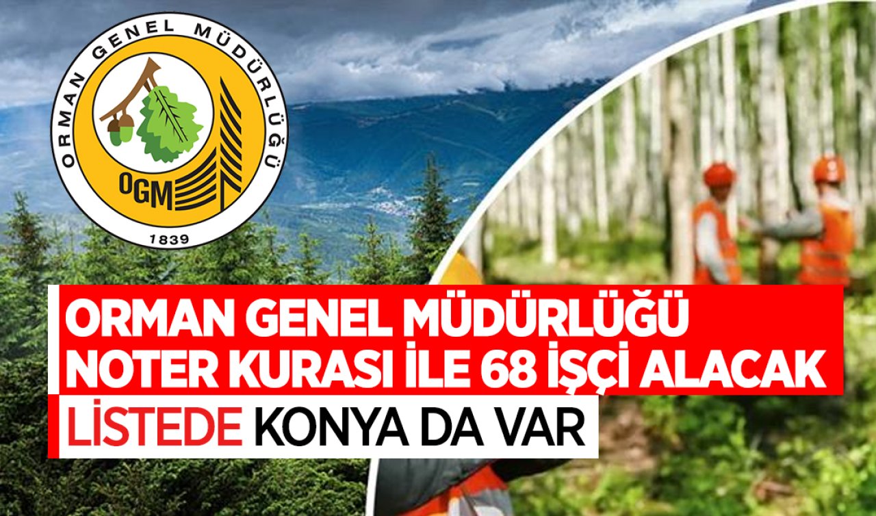  Orman Genel Müdürlüğü noter kurası ile 68 işçi alacak! Listede Konya da var