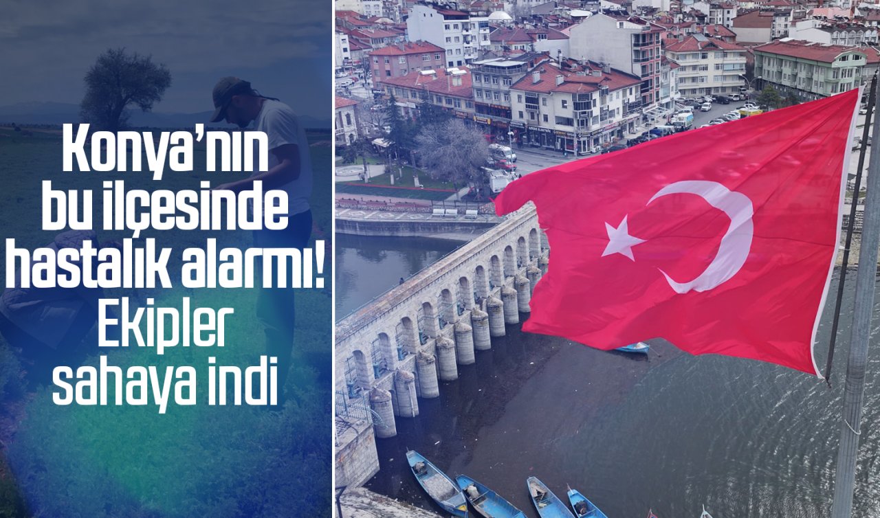  Konya’nın bu ilçesinde hastalık alarmı! Ekipler sahaya indi