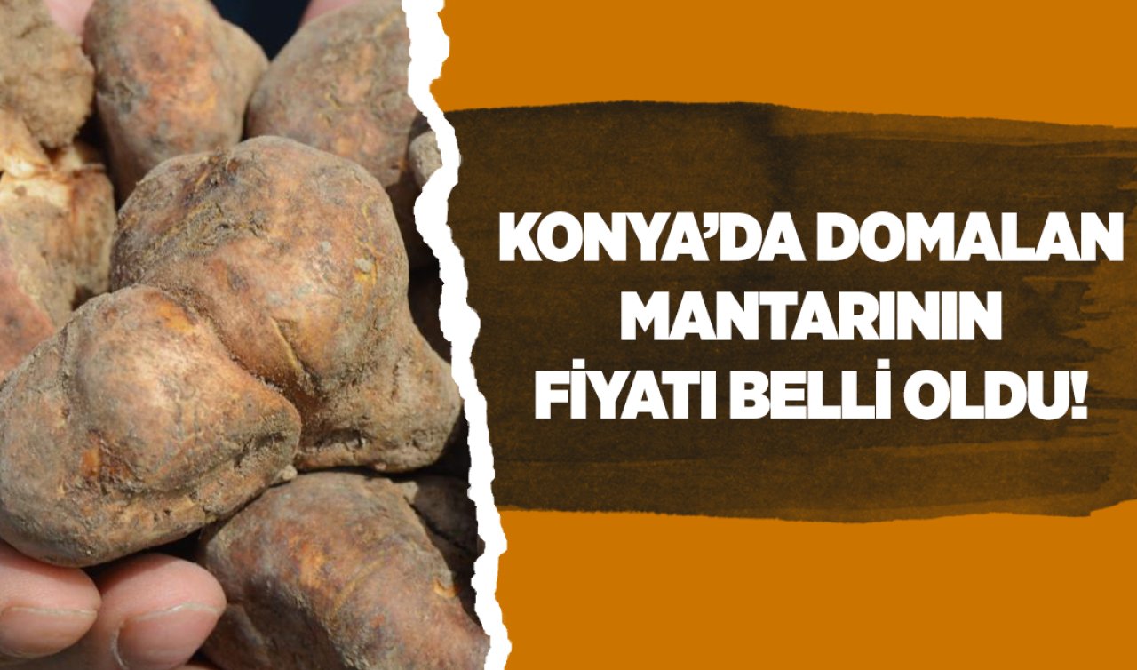  Konya’da domalan mantarının fiyatı belli oldu!